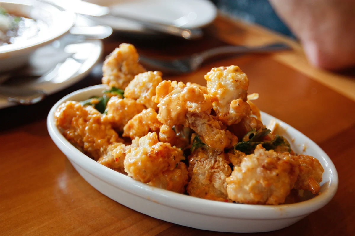 alligator bites